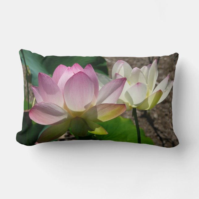 Pair of Lotus Flowers I Lumbar Pillow (Front)