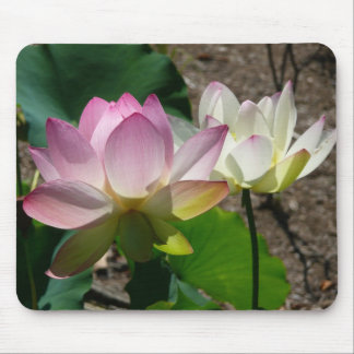 Pair of Lotus Flowers I Mouse Pad
