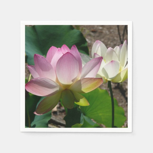 Pair of Lotus Flowers I Napkins (Front)