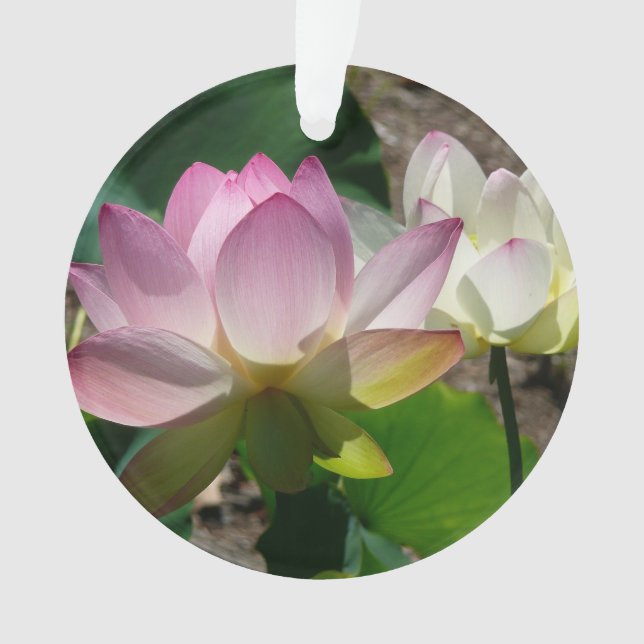 Pair of Lotus Flowers I Ornament (Front)
