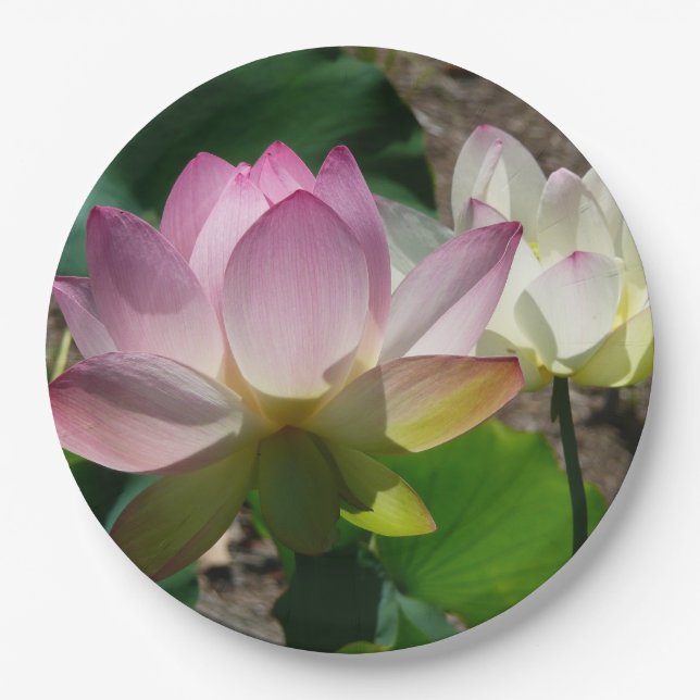 Pair of Lotus Flowers I Paper Plates (Front)