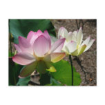 Pair of Lotus Flowers I Postcard