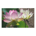 Pair of Lotus Flowers I Rectangular Sticker