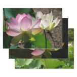 Pair of Lotus Flowers I Wrapping Paper Sheets