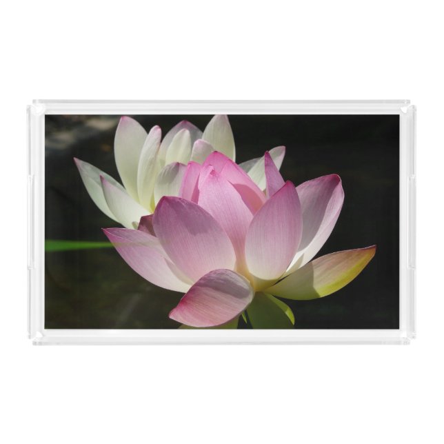 Pair of Lotus Flowers II Acrylic Tray (Front)