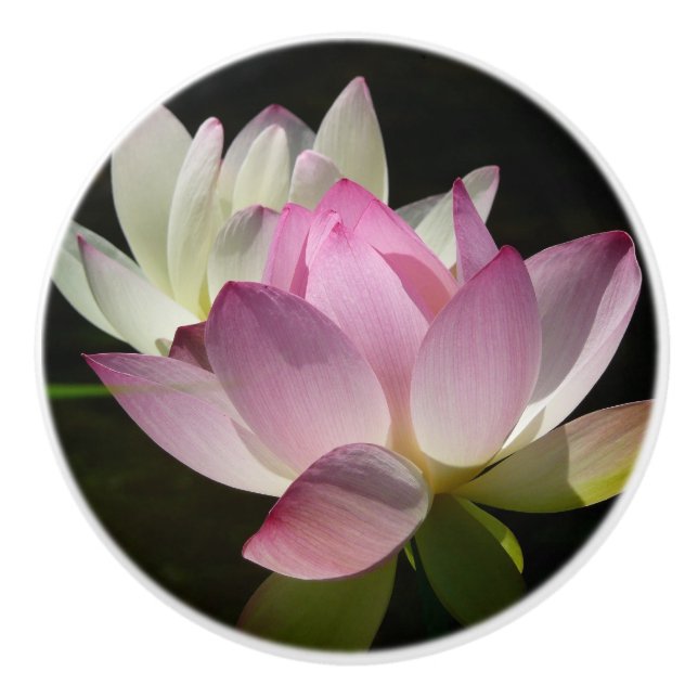 Pair of Lotus Flowers II Ceramic Knob (Front)