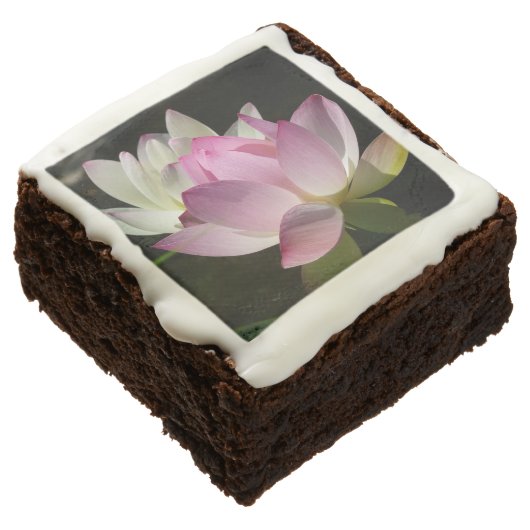 Pair of Lotus Flowers II Chocolate Brownie (Angled)