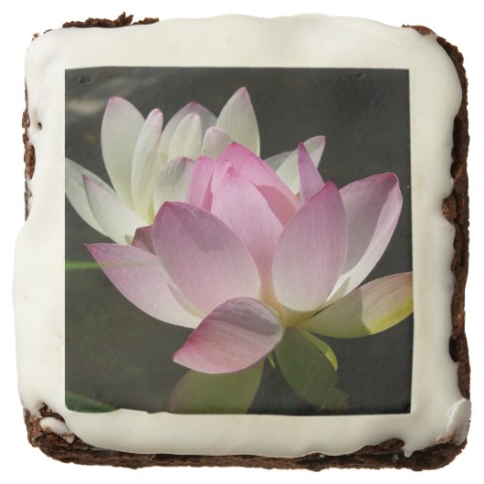 Pair of Lotus Flowers II Chocolate Brownie (Front)