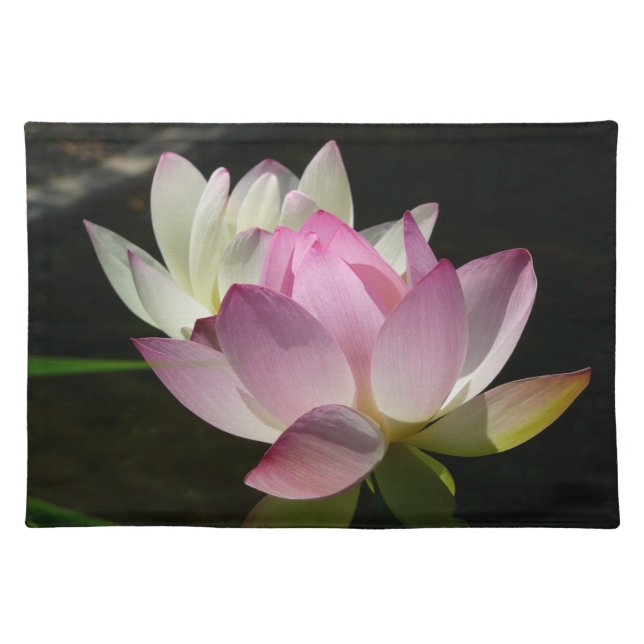 Pair of Lotus Flowers II Cloth Placemat (Front)