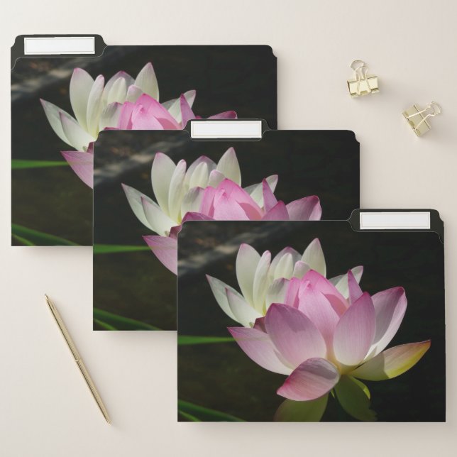 Pair of Lotus Flowers II File Folder (Set)