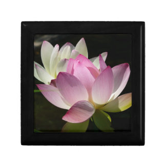 Pair of Lotus Flowers II Gift Box