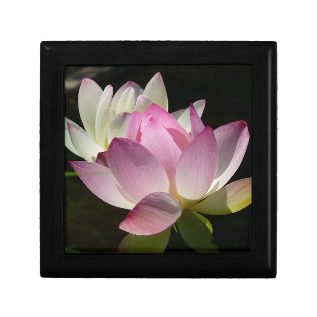 Pair of Lotus Flowers II Gift Box (Front)