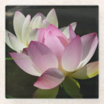 Pair of Lotus Flowers II Glass Coaster