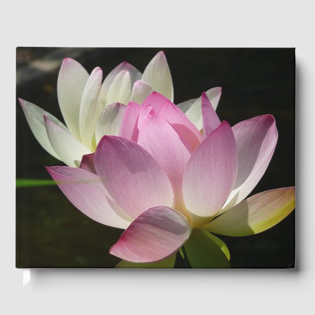 Pair of Lotus Flowers II Guest Book (Front)
