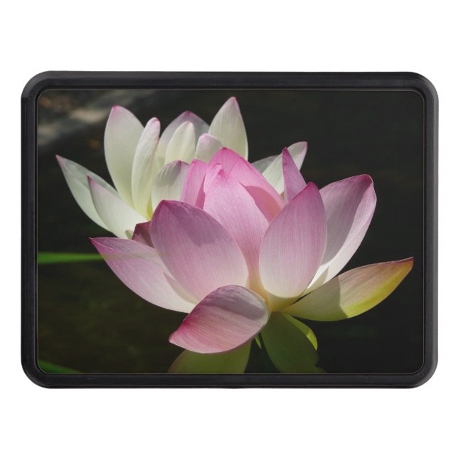 Pair of Lotus Flowers II Hitch Cover (Front)