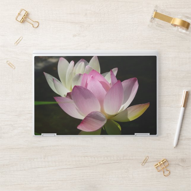 Pair of Lotus Flowers II HP Laptop Skin (Desk)