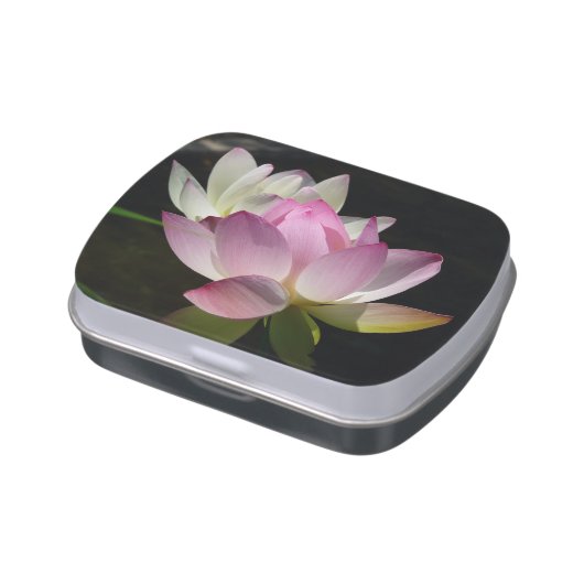 Pair of Lotus Flowers II Jelly Belly Tin (Side)