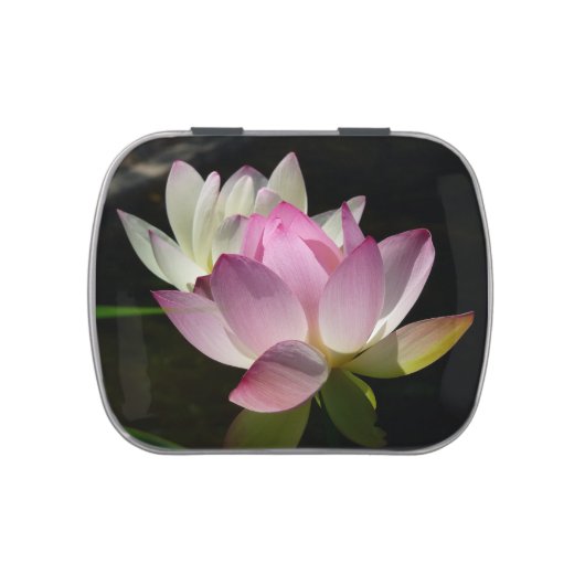 Pair of Lotus Flowers II Jelly Belly Tin (Top)