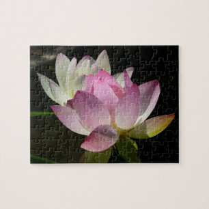Pair of Lotus Flowers II Jigsaw Puzzle