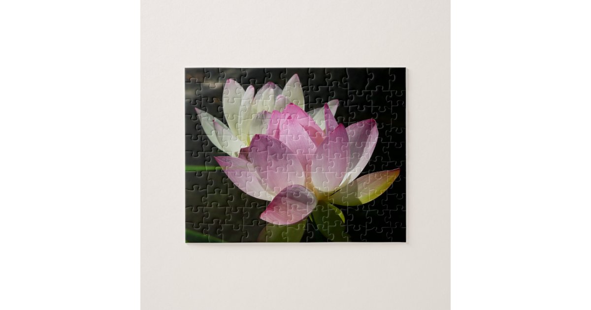 Pair of Lotus Flowers II Jigsaw Puzzle | Zazzle.com