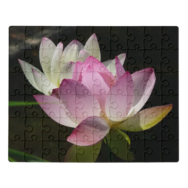 Pair of Lotus Flowers II Jigsaw Puzzle (Puzzle Horizontal)
