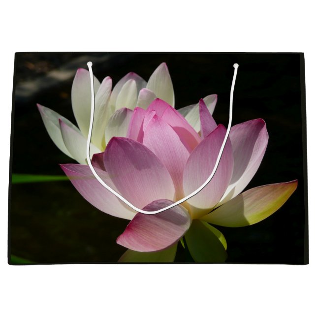 Pair of Lotus Flowers II Large Gift Bag (Front)