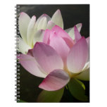 Pair of Lotus Flowers II Notebook