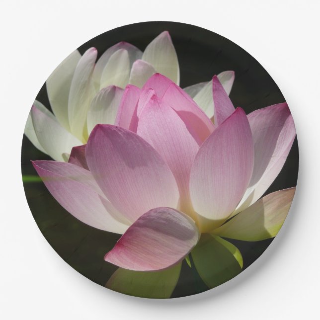Pair of Lotus Flowers II Paper Plates (Front)