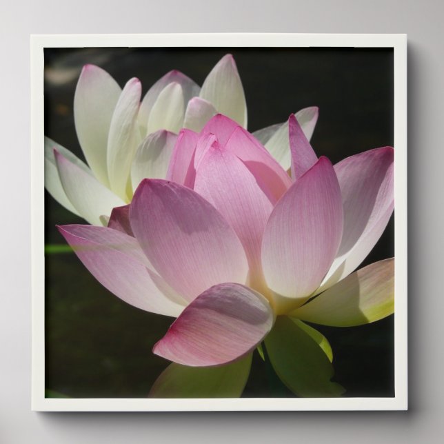 Pair of Lotus Flowers II Peel And Stick Photo Tile (Front Set)