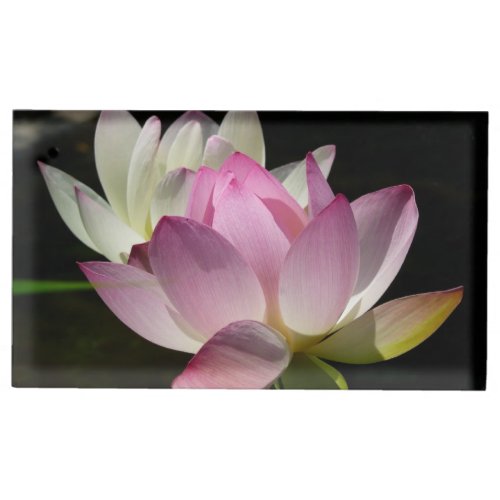 Pair of Lotus Flowers II Place Card Holder