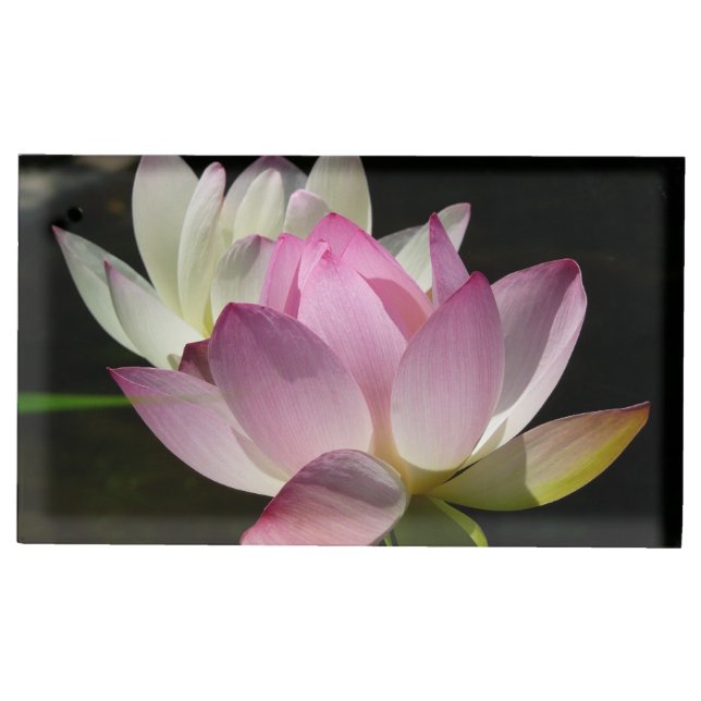 Pair of Lotus Flowers II Place Card Holder (Front)