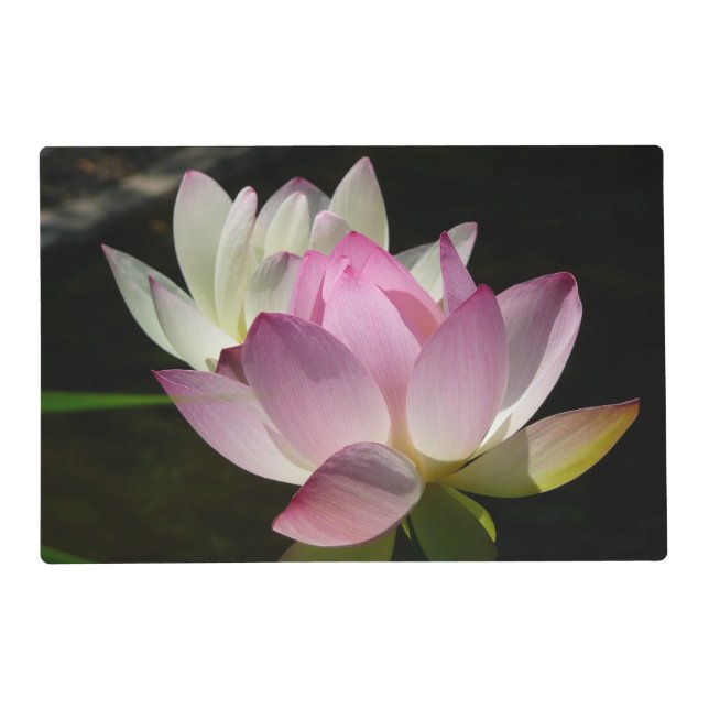 Pair of Lotus Flowers II Placemat (Front)