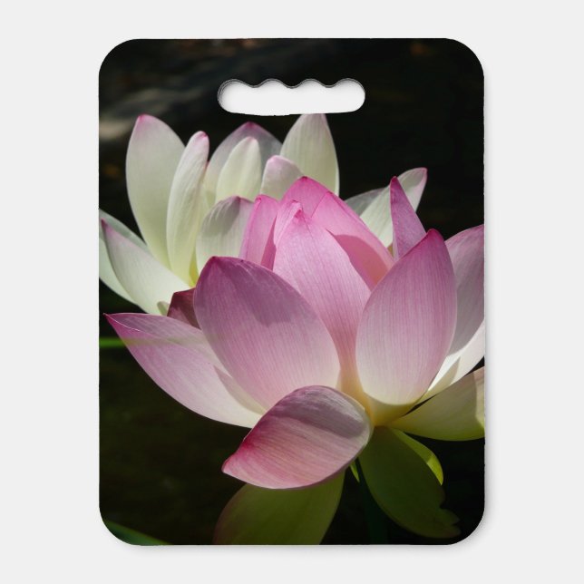 Pair of Lotus Flowers II Seat Cushion (Front Vertical)
