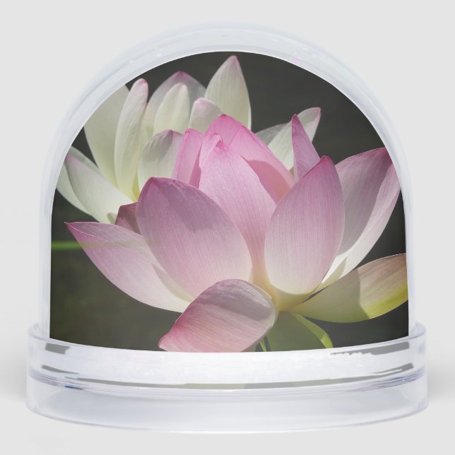 Pair of Lotus Flowers II Snow Globe (Front)