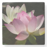 Pair of Lotus Flowers II Stone Coaster