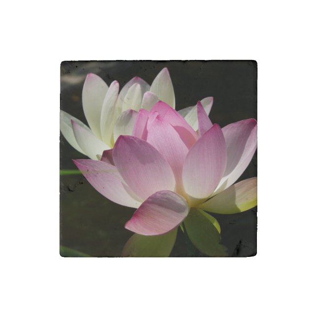 Pair of Lotus Flowers II Stone Magnet (Front)