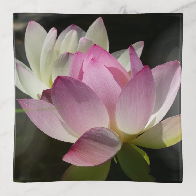 Pair of Lotus Flowers II Trinket Tray (Front)