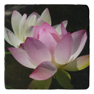 Pair of Lotus Flowers II Trivet