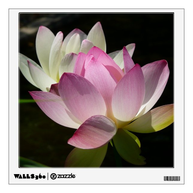 Pair of Lotus Flowers II Wall Decal (Front)