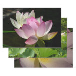 Pair of Lotus Flowers II Wrapping Paper Sheets