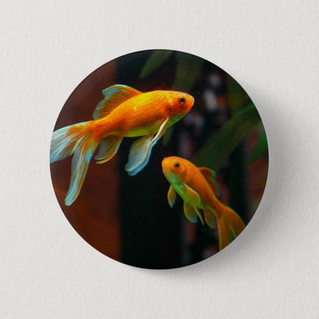 Pair of Lucky Goldfish Button (Front)
