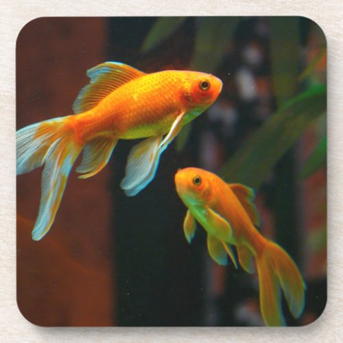 Pair of Lucky Goldfish Coaster