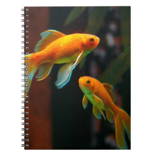 Pair of Lucky Goldfish Notebook