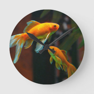 Pair of Lucky Goldfish Round Clock