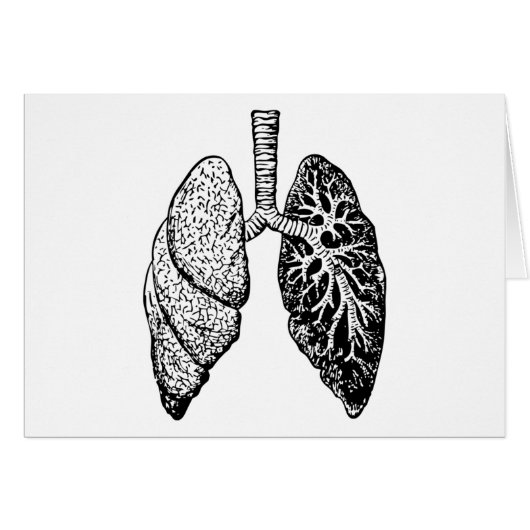 pair of lungs (Front Horizontal)