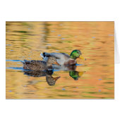 Pair of Mallards (Front Horizontal)