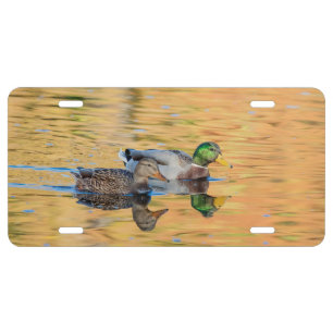 Pair of Mallards License Plate