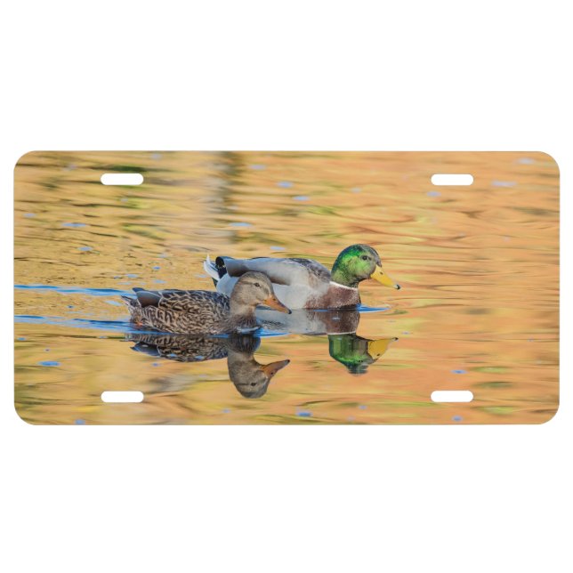 Pair of Mallards License Plate (Front)