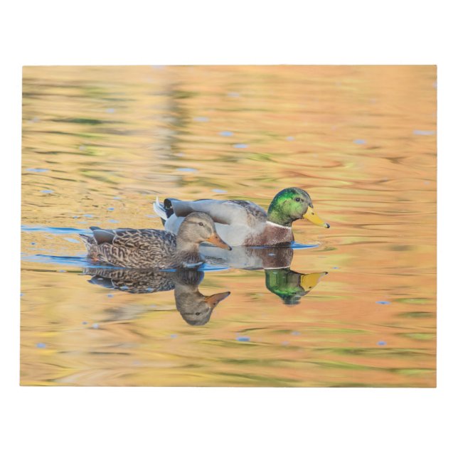 Pair of Mallards Notepad (Front)