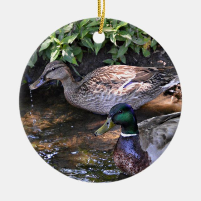 Pair of Mated Mallard Ducks Ceramic Ornament (Front)